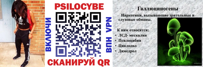 Псилоцибиновые грибы Cubensis дарнет шоп Миасс
